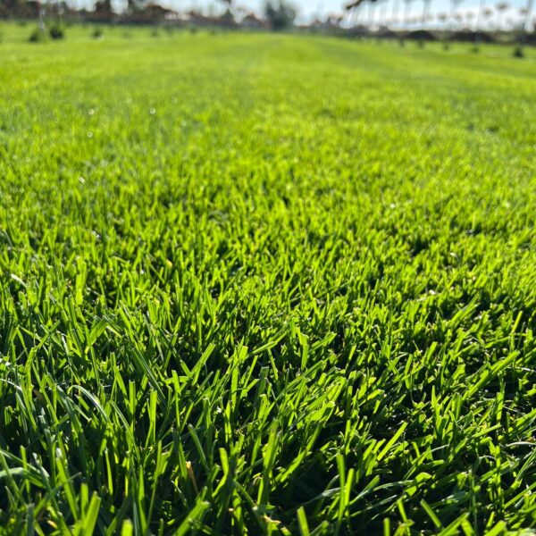 Комплексное Благоустройство Участков