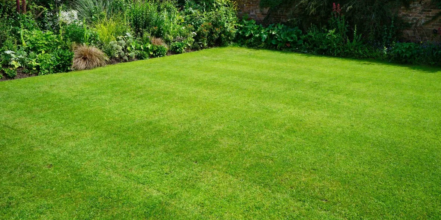 Газоны для всех видов объектов